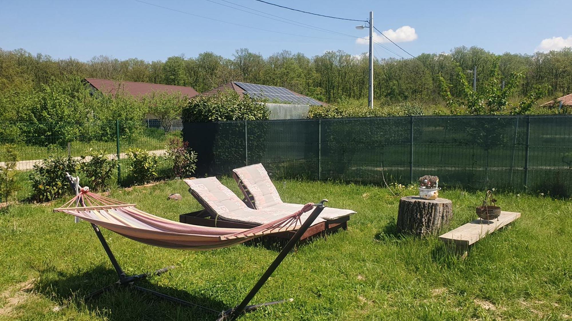 Forest Relax Near Oradea -Pet Friendly Les Exterior foto